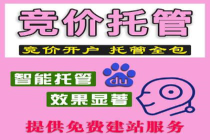 开户高返点策略：成功案例解析